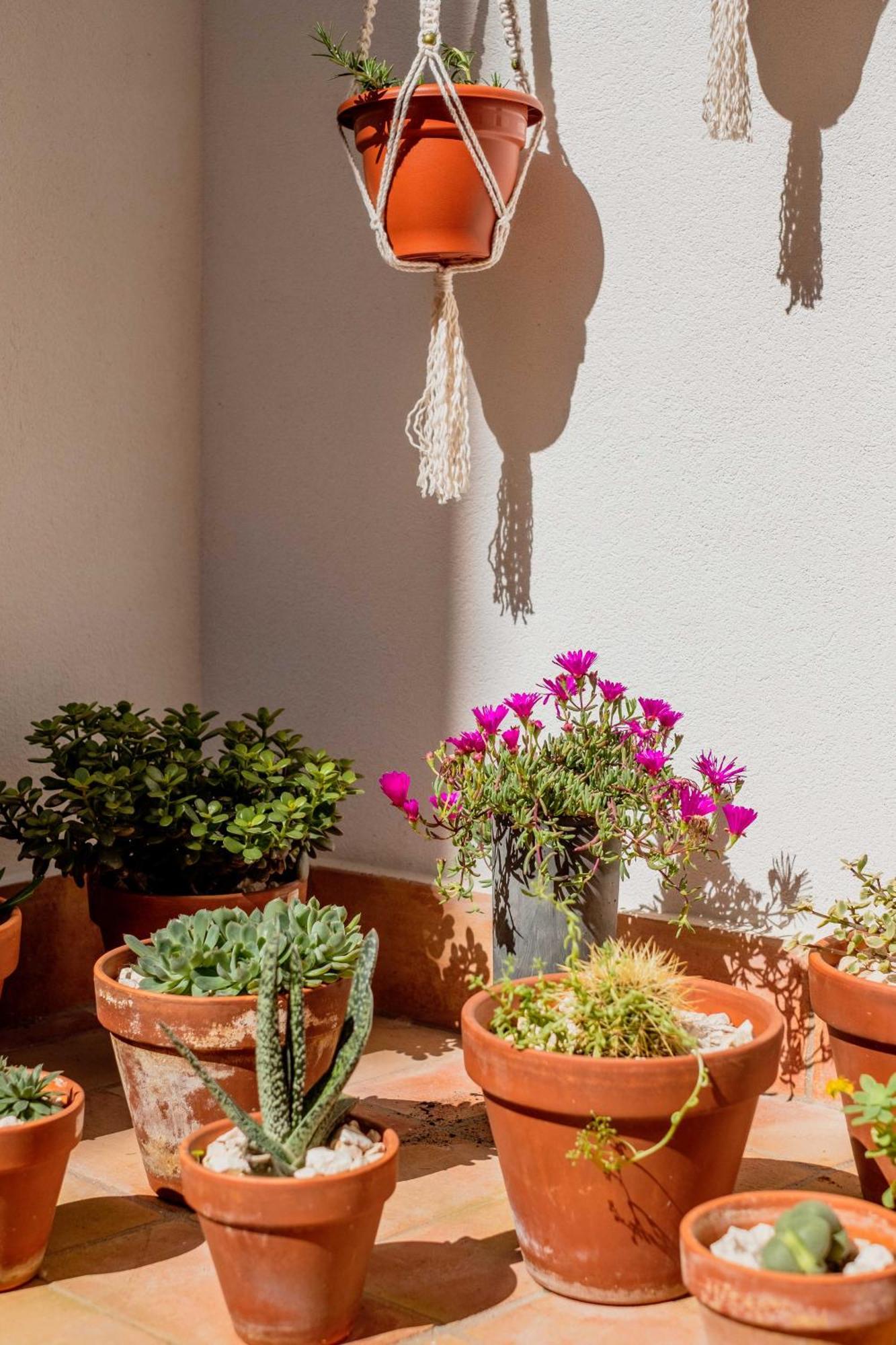 Casa Creativa Lagos Ngoại thất bức ảnh